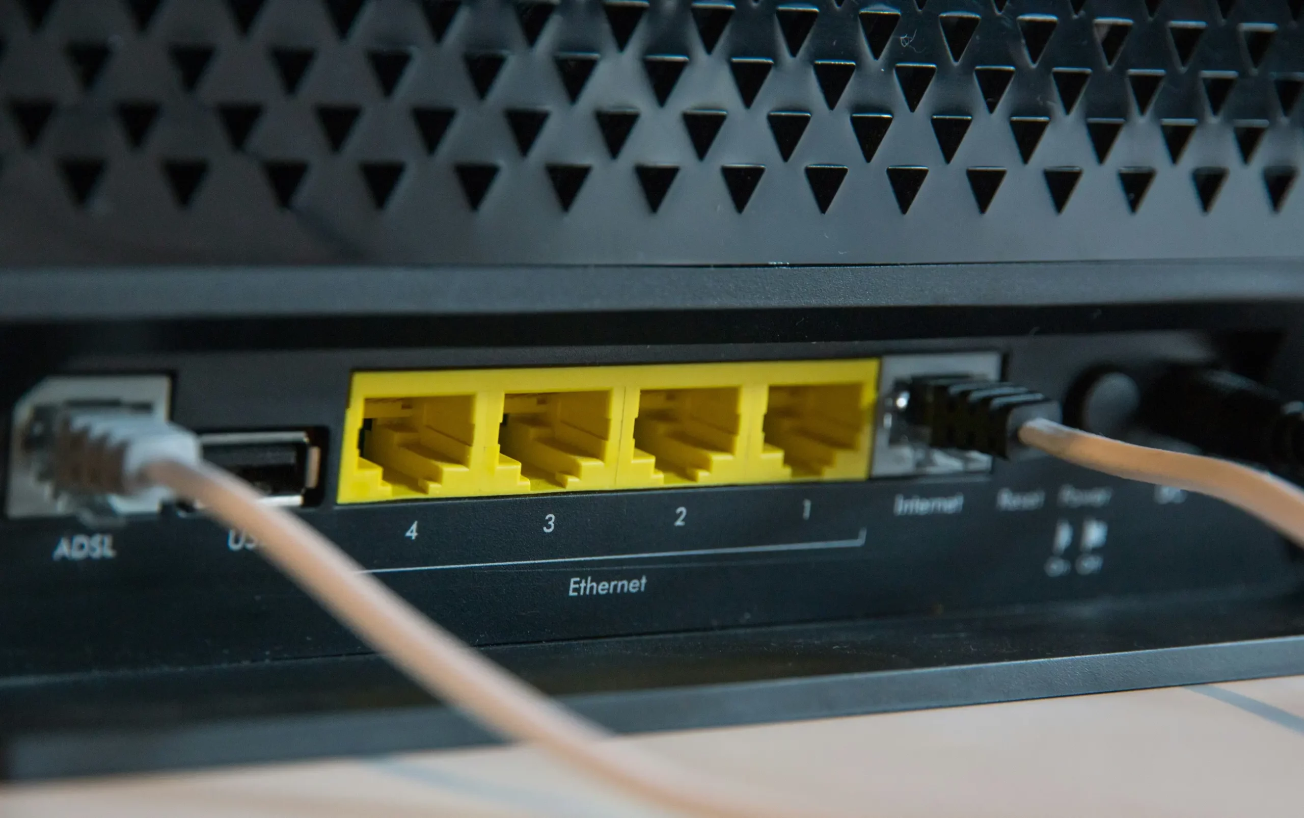 Website Hosting