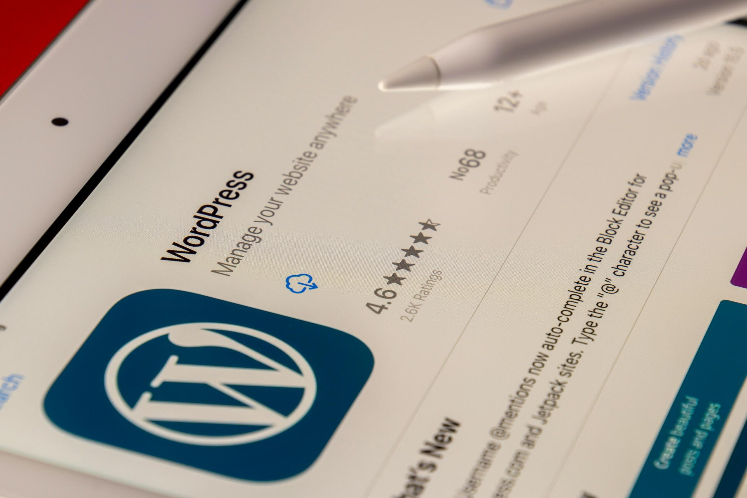 johannesburg website designers